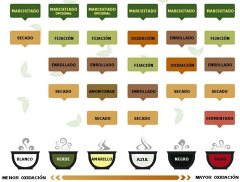 Tipes and Properties of Tea